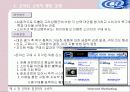 인터넷 환경하의 소비자 12페이지