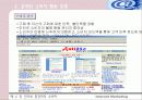 인터넷 환경하의 소비자 13페이지