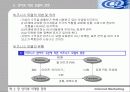 인터넷 마케팅 전략 10페이지