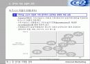 인터넷 마케팅 전략 12페이지