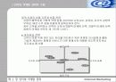 인터넷 마케팅 전략 17페이지