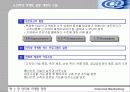 인터넷 마케팅 전략 18페이지