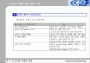 인터넷 마케팅 전략 19페이지