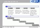 인터넷 마케팅 전략 20페이지