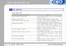 인터넷 마케팅 전략 21페이지
