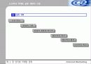 인터넷 마케팅 전략 22페이지