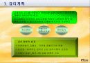 감리기관의 역할과 업무 11페이지