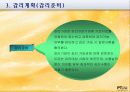 감리기관의 역할과 업무 12페이지