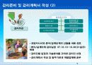 개발프로젝트의 감리사례 15페이지