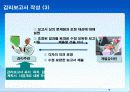 개발프로젝트의 감리사례 29페이지