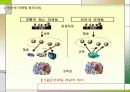 전자상거래와 정보시스템 38페이지