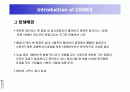 시멕스(CEMEX)의 정보시스템사례 2페이지