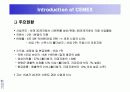 시멕스(CEMEX)의 정보시스템사례 3페이지
