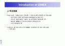 시멕스(CEMEX)의 정보시스템사례 4페이지