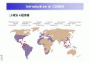 시멕스(CEMEX)의 정보시스템사례 5페이지