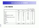 시멕스(CEMEX)의 정보시스템사례 6페이지