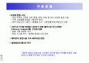 시멕스(CEMEX)의 정보시스템사례 9페이지