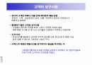시멕스(CEMEX)의 정보시스템사례 11페이지
