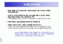 시멕스(CEMEX)의 정보시스템사례 12페이지