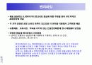 시멕스(CEMEX)의 정보시스템사례 13페이지