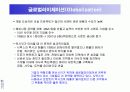 시멕스(CEMEX)의 정보시스템사례 26페이지