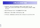 시멕스(CEMEX)의 정보시스템사례 29페이지