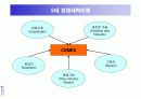 시멕스(CEMEX)의 정보시스템사례 30페이지