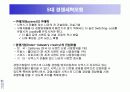 시멕스(CEMEX)의 정보시스템사례 31페이지