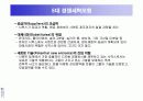 시멕스(CEMEX)의 정보시스템사례 32페이지