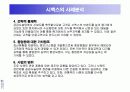 시멕스(CEMEX)의 정보시스템사례 37페이지