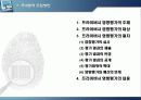 프라이버시 영향평가제도에 관한 연구 - 파워포인트 22페이지