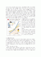 한국의 높은 이혼율에 대한 사회학적 분석과 그 해결책 5페이지