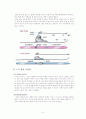 [예체능] 스키의 모든것 6페이지