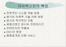 창업아이템-Multimedia DVD 영화관 8페이지