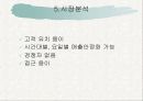 창업아이템-Multimedia DVD 영화관 17페이지