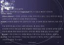 제주 탐라마을 마케팅 성공사례 12페이지