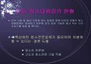창업아이템-무점포 청소 서비스업(i-Cleaning) 10페이지