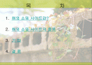 해외 쇼핑 대행 사이트 현황 2페이지