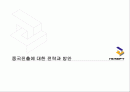 엔씨소프트 중국진출에 대한 전략과 방안 1페이지