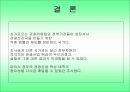 관광학(관광법규)_싱가포르의 관광정책 및 정부의 육성지원대책 18페이지
