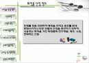 세계 화장품 시장의 동향 (파워포인트 자료) 4페이지