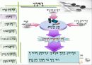 세계 화장품 시장의 동향 (파워포인트 자료) 5페이지