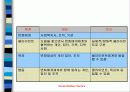 사회복지 발달과정 12페이지