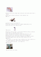 노인복지와 실버산업 & 실버산업의 문제점과 대책 36페이지