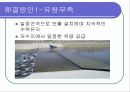 자연형 하천 , 정읍천 14페이지