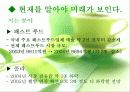 웰빙과 로하스 17페이지