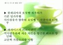 웰빙과 로하스 18페이지