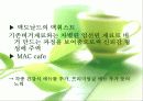 웰빙과 로하스 19페이지