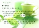 웰빙과 로하스 20페이지