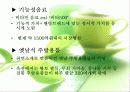 웰빙과 로하스 22페이지